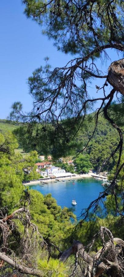 Skopelos Country House Diamantis & Chrisi Agnontas 외부 사진