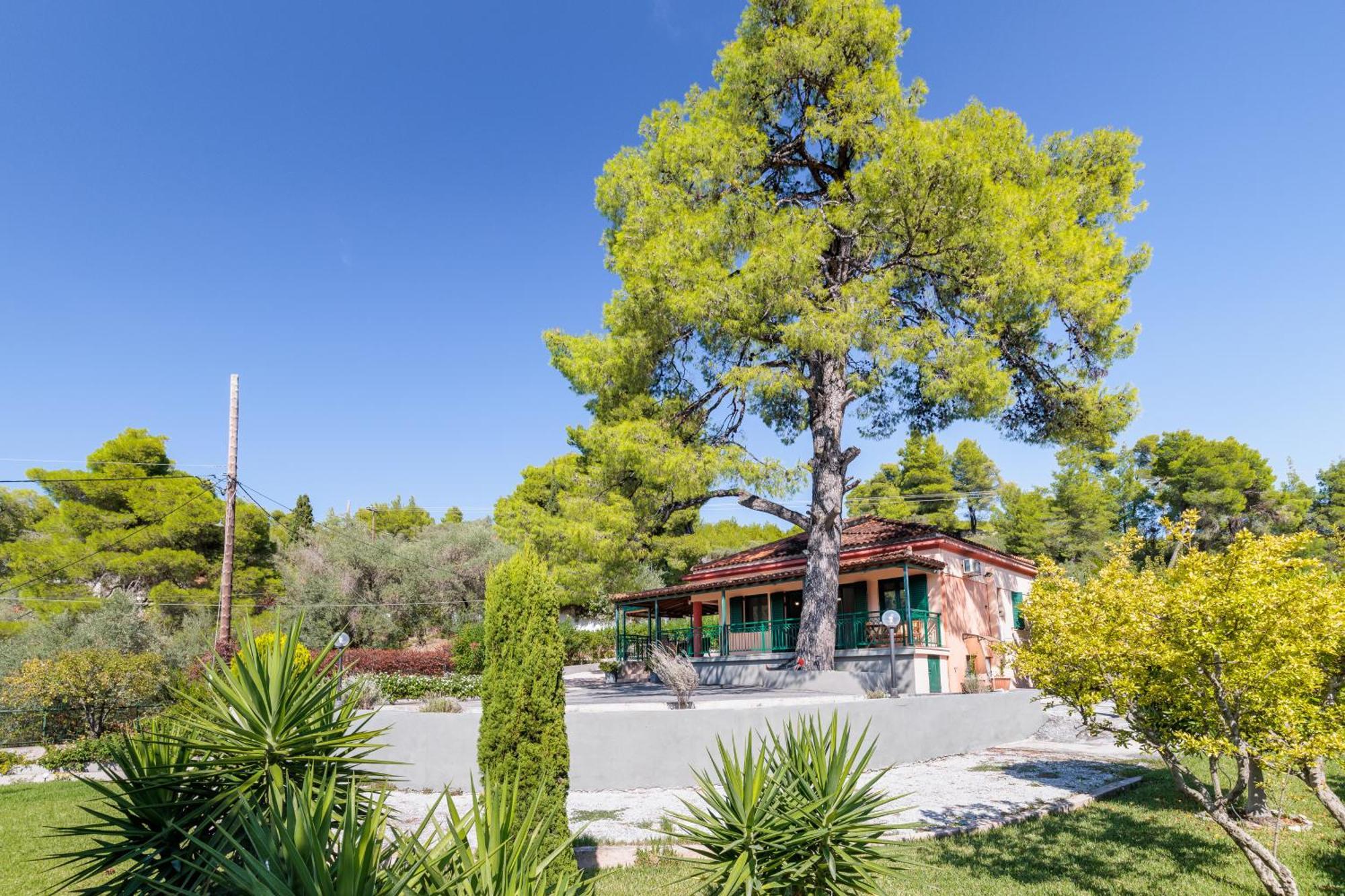Skopelos Country House Diamantis & Chrisi Agnontas 외부 사진